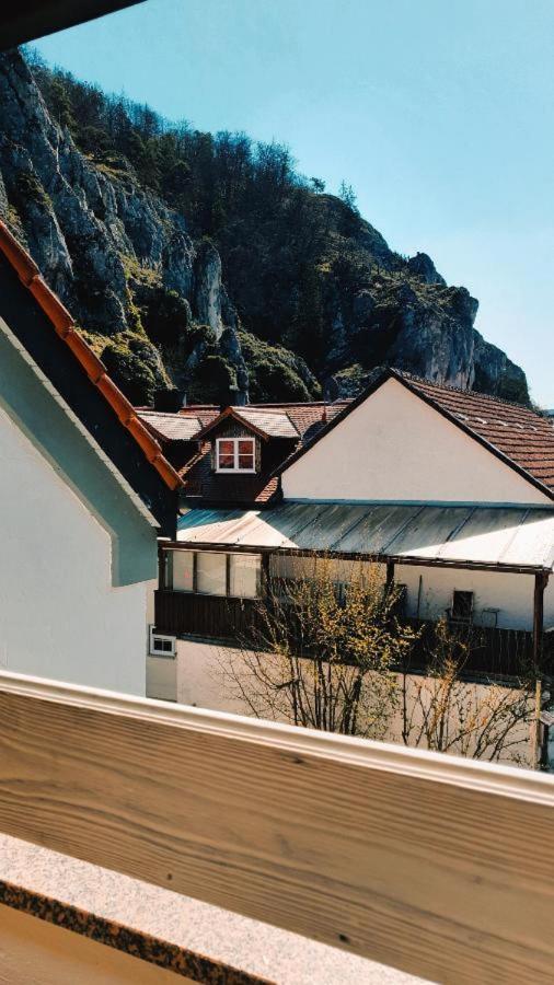 Apartment Cafe Altmuehl, Gaestehaus Krimhilde Direkt Am Wasser *
